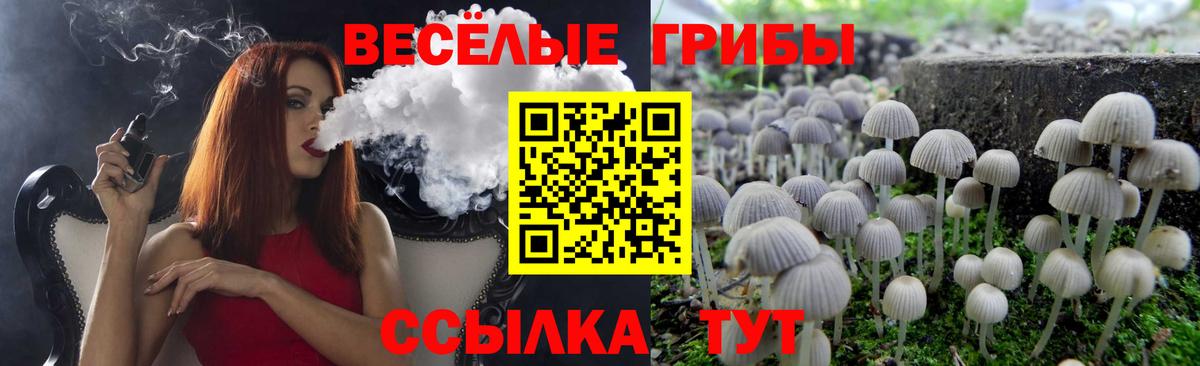 Канаш  Галлюциногенные грибы Psilocybine cubensis  Вход с VPN 